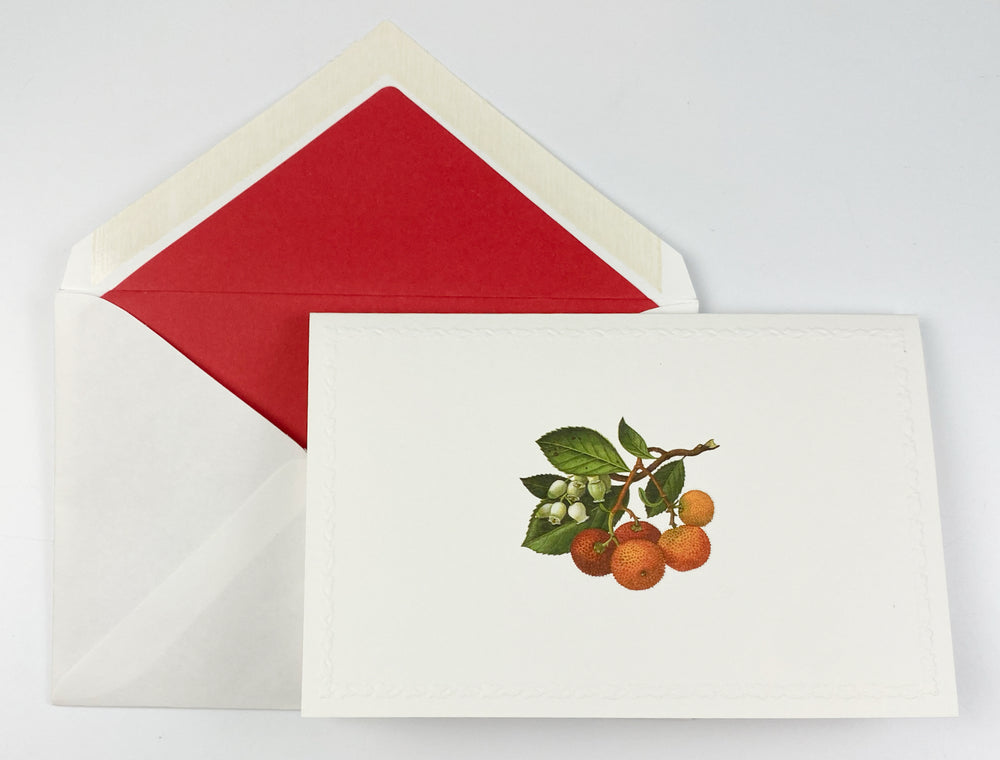 Strawberry Tree Motif Notecards | Rossi 1931 Italian Stationery-LetterSeals.com