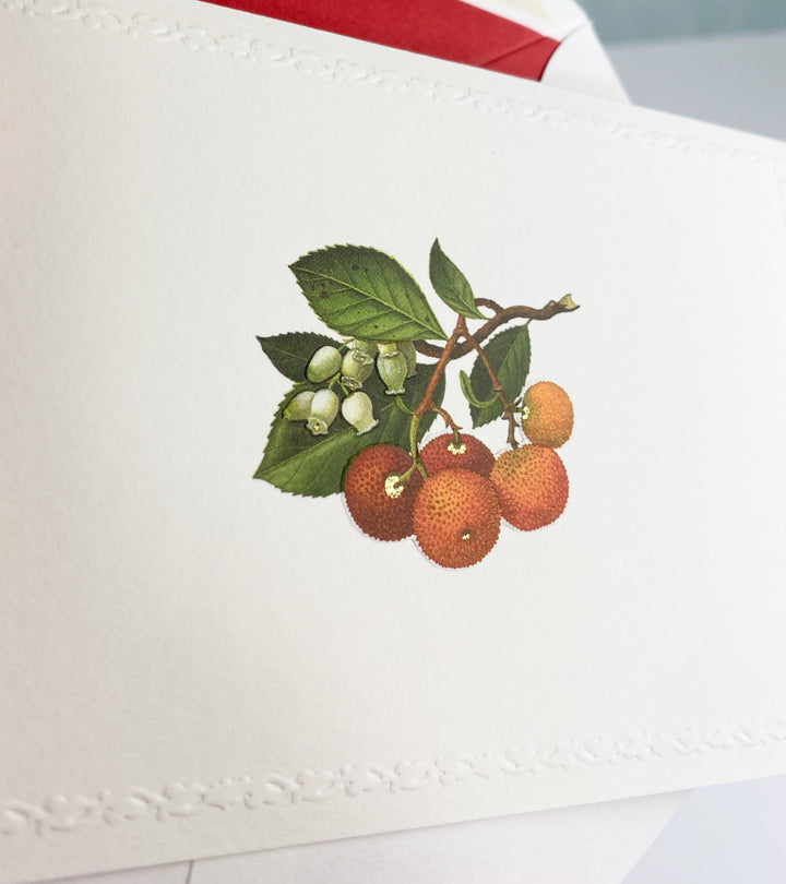 Strawberry Tree Motif Notecards | Rossi 1931 Italian Stationery-LetterSeals.com