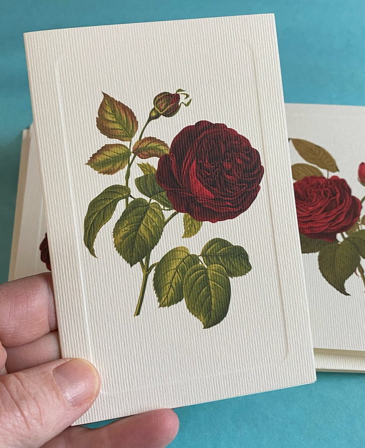Summer Roses 12 Note Card Set, Four Designs | Rossi 1931 Italian Stationery-LetterSeals.com
