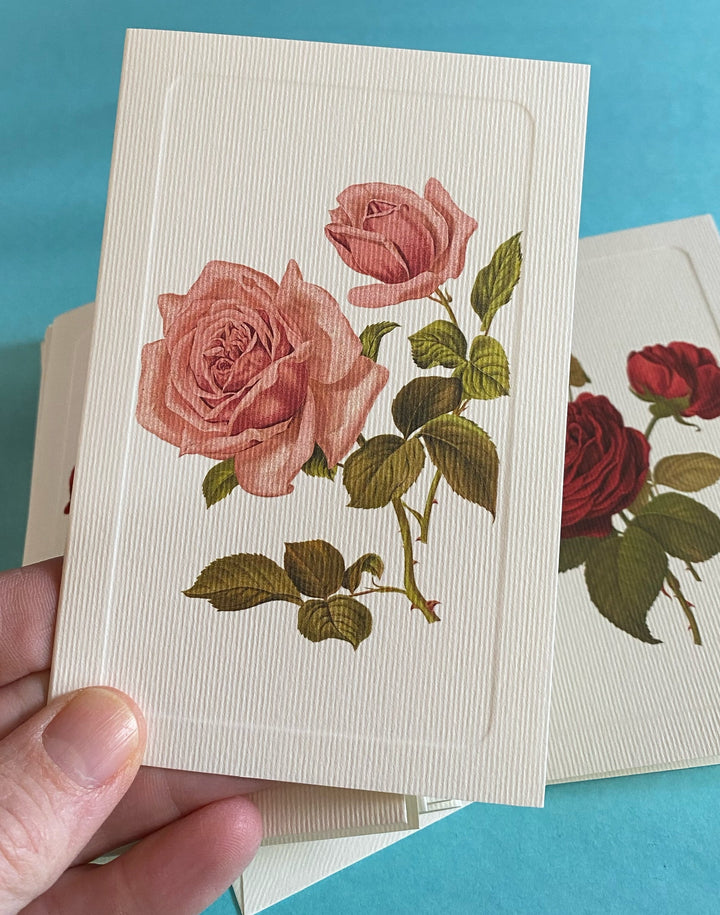 Summer Roses 12 Note Card Set, Four Designs | Rossi 1931 Italian Stationery-LetterSeals.com