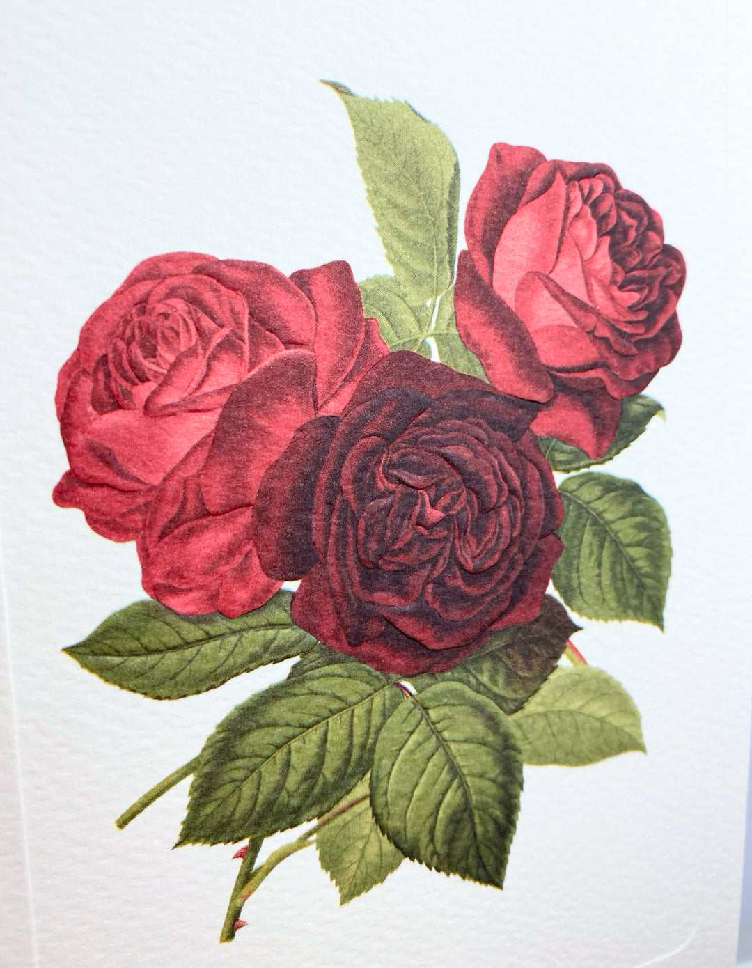 Three Rose Greeting Card | Rossi 1931 Italian Stationery-LetterSeals.com