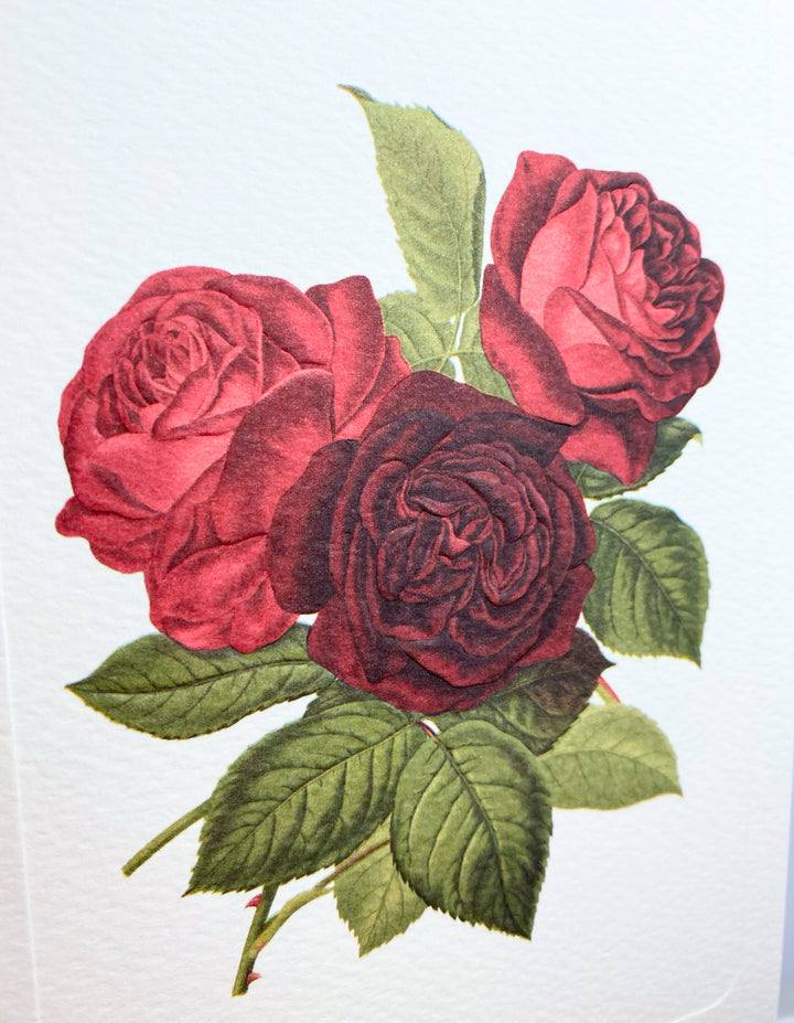 Three Rose Greeting Card | Rossi 1931 Italian Stationery-LetterSeals.com