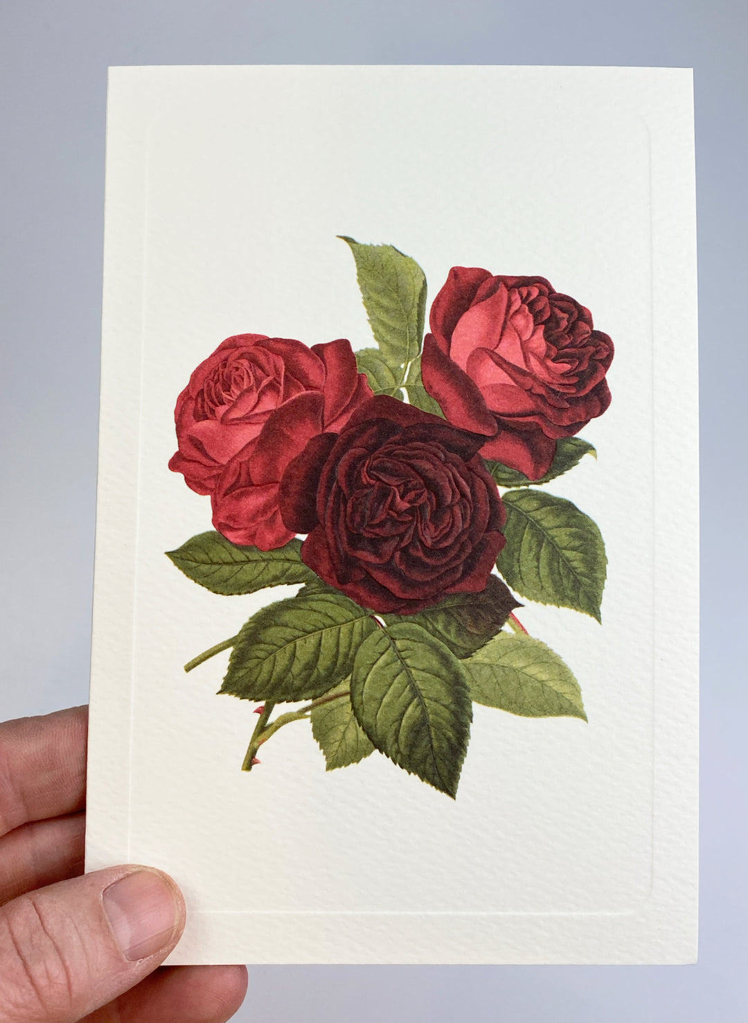 Three Rose Greeting Card | Rossi 1931 Italian Stationery-LetterSeals.com