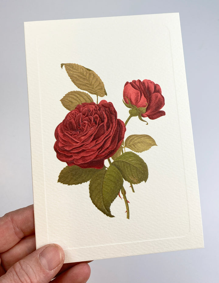 Two Red Roses Greeting Card | Rossi 1931 Italian Stationery-LetterSeals.com