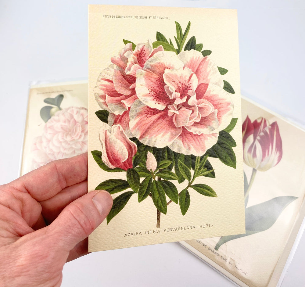 Garden Flower Note Cards | Rossi 1931 Italian-LetterSeals.com
