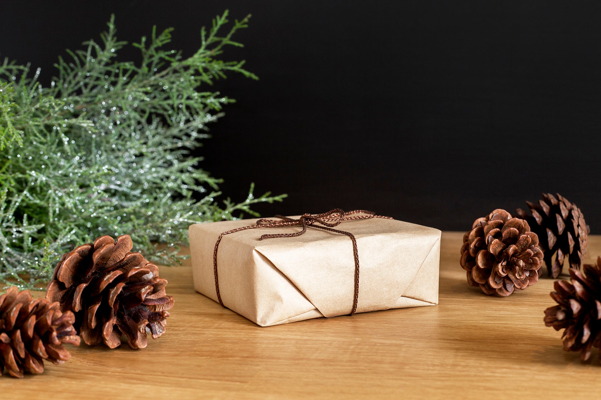 wrapped-package-and-pine-cones[product-name]-LetterSeals.com